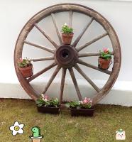 L 'EDELWEISS de 1 a 9 personnes - Bed and Breakfast