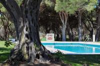 Alojamientos La Tortuga - Ferienwohnung Chiclana de la Frontera