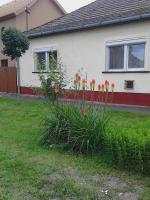 Tóth Magánszállás Hajdúszoboszló - Ferienwohnung