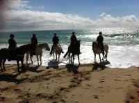 Luxury Suites Fuengirola - B&B Fuengirola