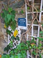 Aux Vieilles Murailles • Charmante maison & cour - B&B Morlaix