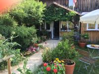 Bed and B Les Truffières - B&B Trémolat