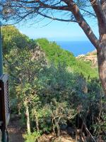Villa La Lecceta surrounded by greenery and sea view with sunset - B&B Costa Paradiso