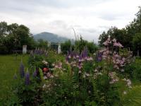 Doppelzimmer mit Bergblick