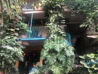 Casa Cereza Apartments - B&B Puerto Vallarta