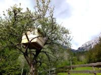 Tree House Deer