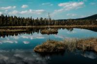 Penzion Mezi lesy - B&B Nové Hutě