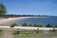 DELUXE Escape! Central, NEW & Spacious 3 Bed - B&B Yamba