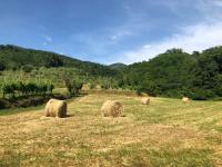 Lunigiana Experience - B&B Pontremoli