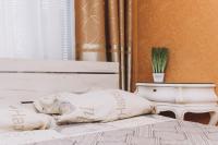 Квартира в центре города - B&B