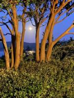 Rodeen Suite - B&B Castletown Bearhaven