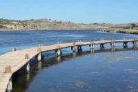 Le colibri - B&B La Palme