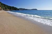 Magnifique petit cocon bord de mer - Bed and Breakfast Le Pradet