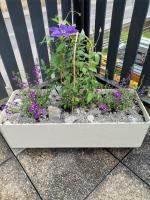 Familiekamer met Terras