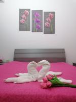 Tulipano - B&B Trapani