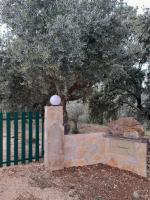 Casa dos Terranhos - B&B Tomar