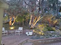 CASA de los ARBOLES! Delight & Solitude Abound! - Ferienwohnung