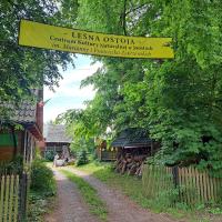 Domek wycieczkowy - B&B