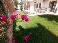 Casa Diamante, a 50mt dal mare - B&B Santa Cesarea Terme