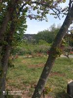 Les cyprès - B&B Lagorce