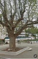 Le Vallombrosa T2 - Bed and Breakfast Cannes