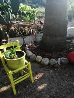 Comfort Dreibettzimmer mit Dusche