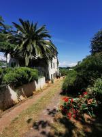Apartment Kira - spacious apartment with sea view - B&B