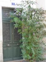 2 DESCARTES - B&B