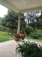 Camelias - B&B Guimarães