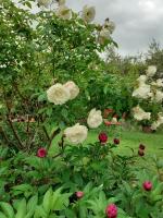 Monolocale su 2 Livelli