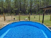 Peaceful Plantation - B&B Floral City