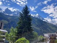 2 Pièces à Chamonix, Vue Mont-Blanc, Animaux admis, Parking - FR-1-517-26 - Chambres d’hôtes Chamonix-Mont-Blanc