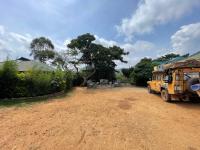 Bwindi My Home - B&B