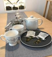 Jane's Place, experience the atmosphere of a historic villa & free parking - Chambres d'hôtes Ljubljana