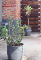 27 on Gunn Street - Bed and Breakfast