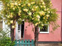 Garden Cottage - Bed and Breakfast