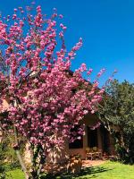 Opera Deluxe - B&B Rávena