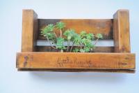 Little house Kućica - Ferienwohnung Banjol