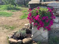 Casa in pietra in antico borgo vicino al centro - Ferienwohnung Pietrasanta