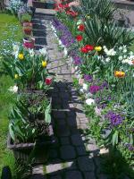 Guest House Isidora - B&B