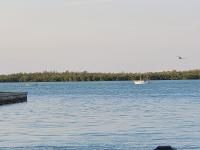 Beach Water Front Luxury Estate - Bed and Breakfast Marco Island