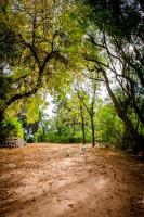 Ukholo Lodge - B&B Citrusdal