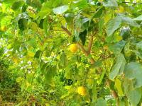 Hantke28 Budget Apartment - B&B Haifa