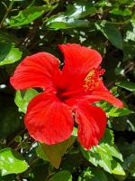 Hantke28 Budget Apartment - B&B Haifa