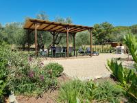 Sea & Olive trees - Ferienwohnung Quercianella