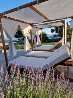 B&B Starigrad-Paklenica - Villa Sul Mare - Bed and Breakfast Starigrad-Paklenica