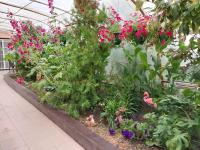 Апарт-Отель Энглер - B&B Novorossiyskoye