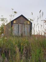 Forest edge - B&B Saugos