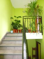 Camera Familiare (9 Adulti)