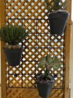 The island studio - B&B Pireo